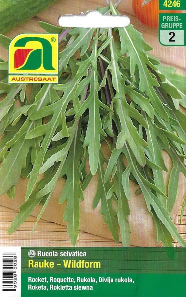 Rauke - Wildform, ausdauernd