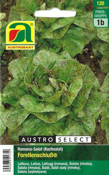 Kochsalat, Romana-Salat Forellenschluß