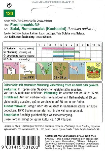 Kochsalat, Romana-Salat Forellenschluß