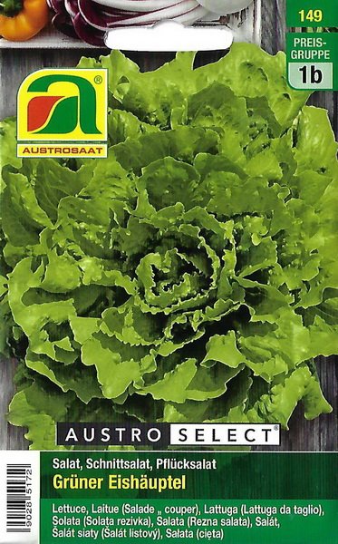 Salat, Schnittsalat, Pflücksalat Grüner Eishäuptel