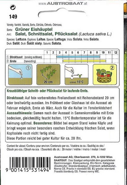 Salat, Schnittsalat, Pflücksalat Grüner Eishäuptel