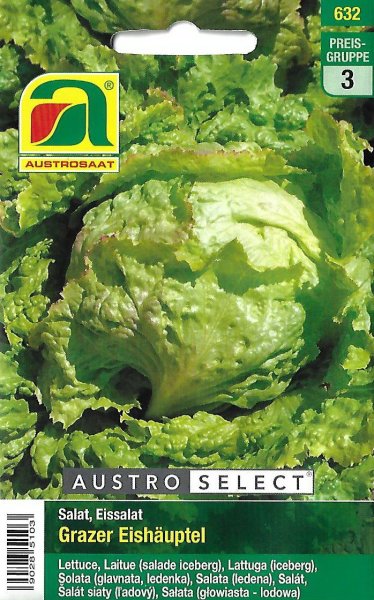 Eissalat Grazer Eishäuptel