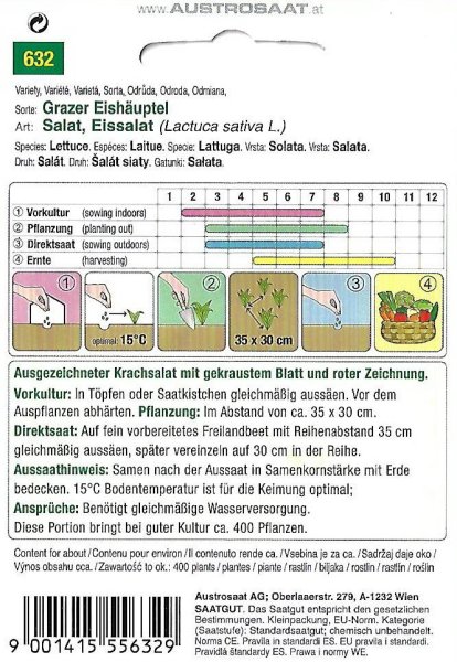 Eissalat Grazer Eishäuptel