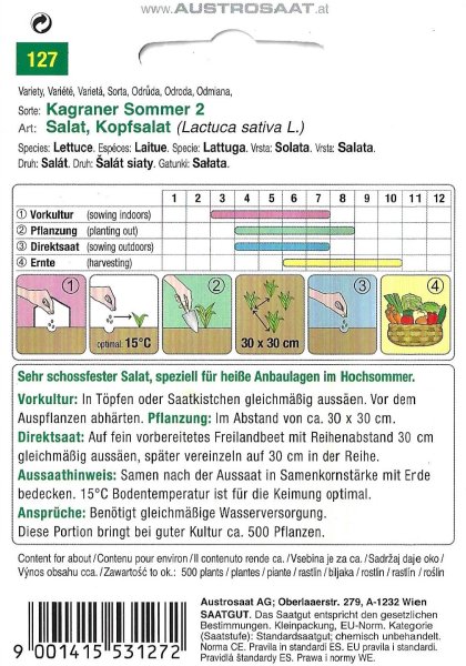 Kopfsalat Kagraner Sommer 2