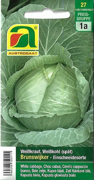 Weißkraut, Weißkohl Brunswijker