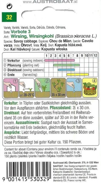 Wirsingkohl Vorbote 3