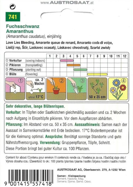 Fuchsschwanz - Amaranthus caudatus