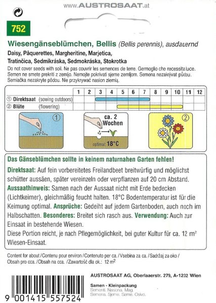 Wiesengänseblümchen (Bellis perennis)