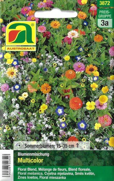 Blumenmischung Multicolor (Einjährige Blumen)
