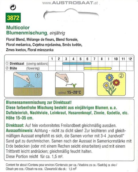 Blumenmischung Multicolor (Einjährige Blumen)