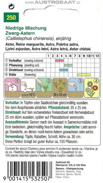 Zwerg-Astern Niedrige Mischung (Callistephus chinensis)