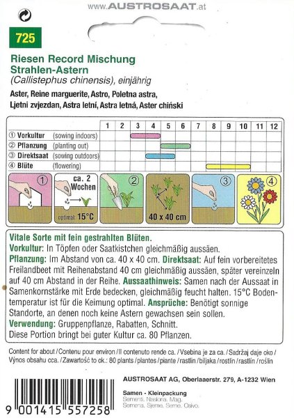 Sommer-Astern Riesen Record Mischung