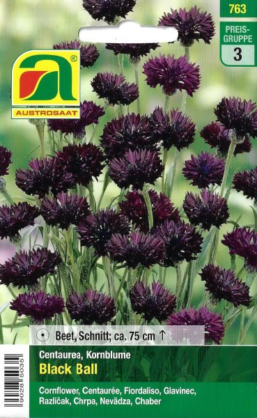Kornblume Black Ball (Centaurea cyanus)
