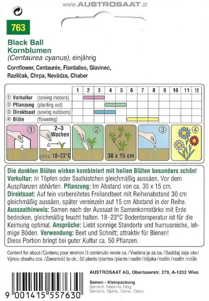 Kornblume Black Ball (Centaurea cyanus)