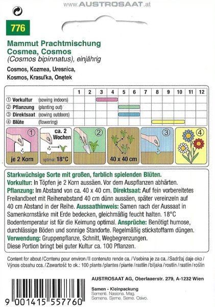 Cosmea Mammut Prachtmischung (Cosmos bipinnatus)