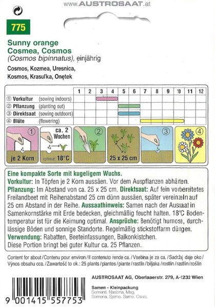 Cosmea Sunny Orange (Cosmos bipinnatus)