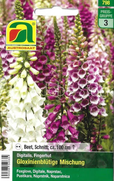 Fingerhut Gloxinienblütige Mischung (Digitalis purpurea)