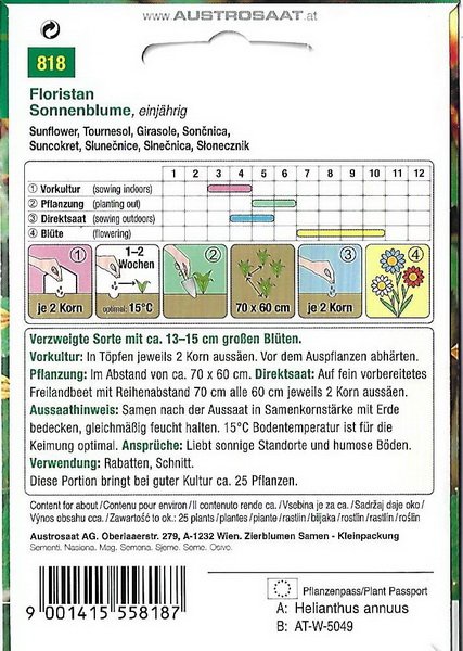 Sonnenblume Floristan (Helianthus annuus)