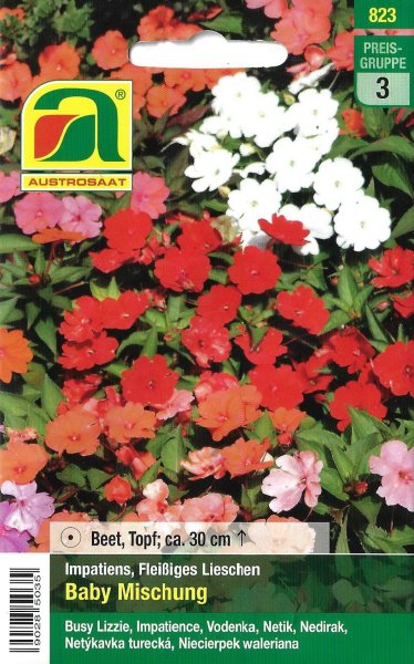 Fleißiges Lieschen Baby Mischung (Impatiens walleriana)