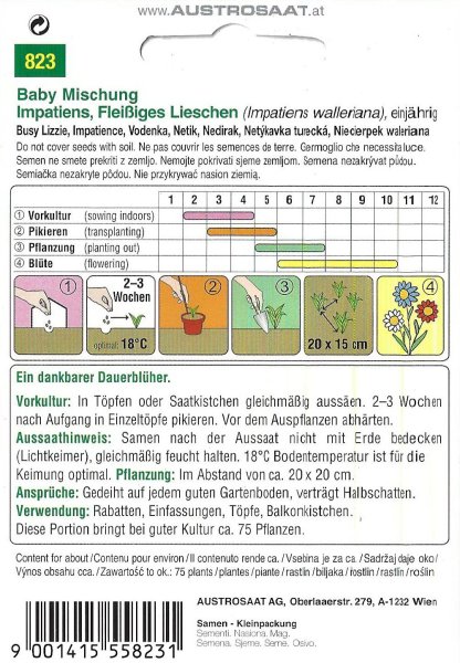 Fleißiges Lieschen Baby Mischung (Impatiens walleriana)