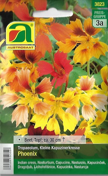 Kapuzinerkresse Phoenix (Tropaeolum minus)