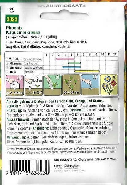Kapuzinerkresse Phoenix (Tropaeolum minus)