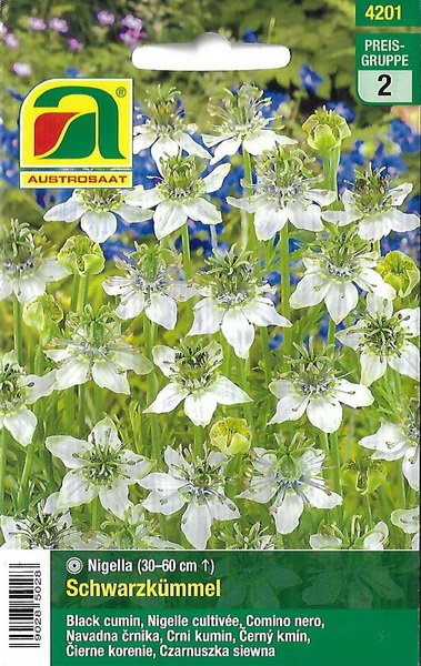 Schwarzkümmel (Nigella sativa)