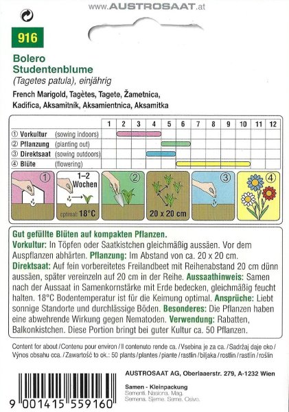 Studentenblume Bolero (Tagetes patula)
