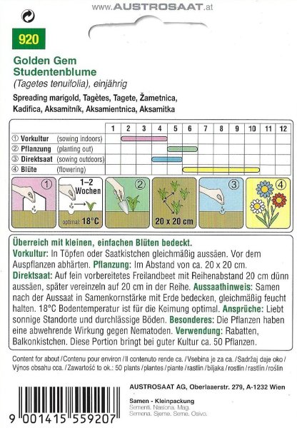 Studentenblume Golden Gem (Tagetes tenuifolia)