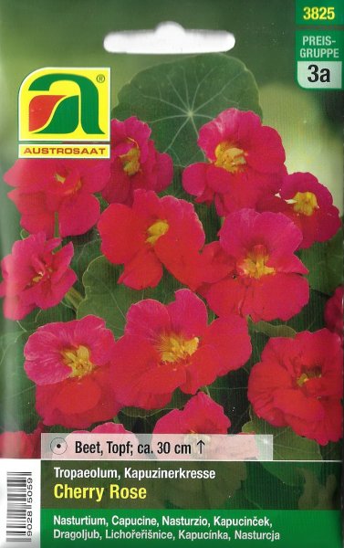 Kapuzinerkresse Cherry Rose (Tropaeolum nanum)