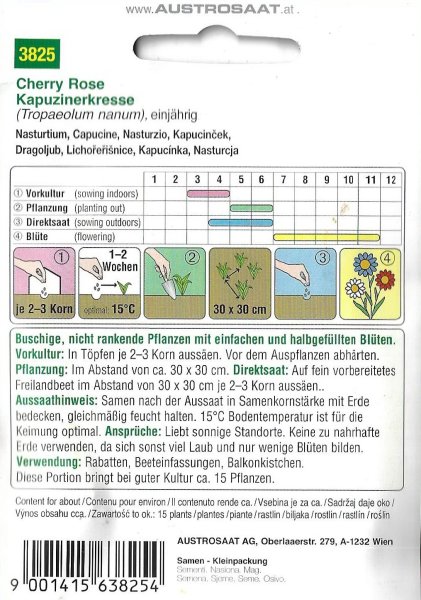 Kapuzinerkresse Cherry Rose (Tropaeolum nanum)