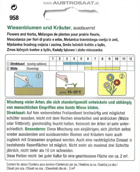 Naturnahe Blumenwiese - Wiesenblumen und Kräuter