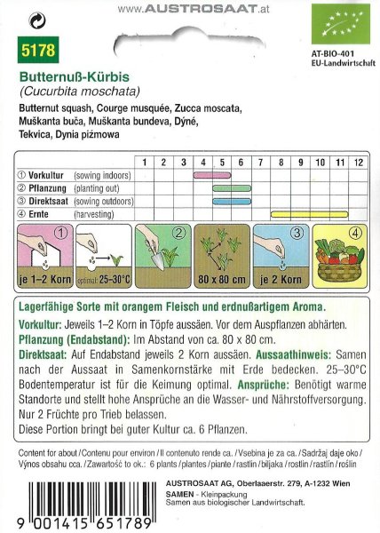 Butternuß-Kürbis - Bio