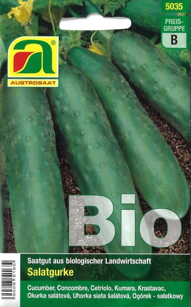 Salatgurke Marketmore - Bio