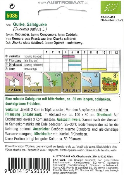 Salatgurke Marketmore - Bio