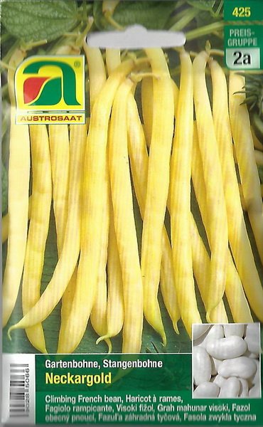Gartenbohne, Stangenbohne Neckargold