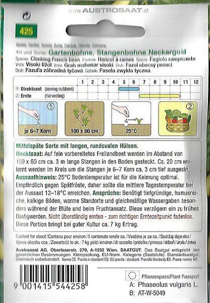 Gartenbohne, Stangenbohne Neckargold