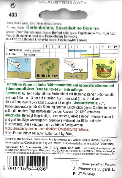 Buschbohne 'Domino'