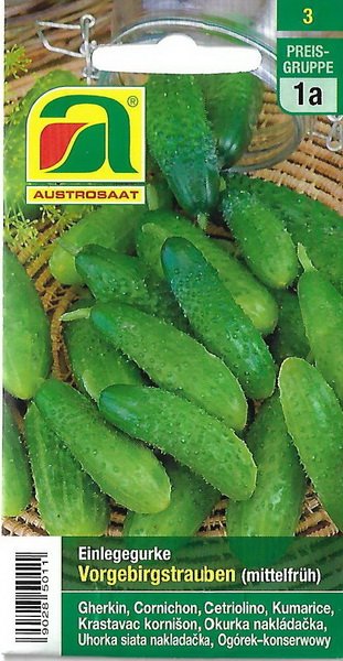 Gurke, Einlegegurke Vorgebirgstrauben (Cucumis sativus)