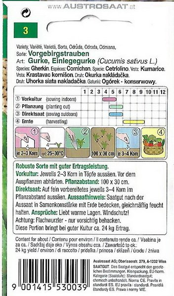 Gurke, Einlegegurke Vorgebirgstrauben (Cucumis sativus)
