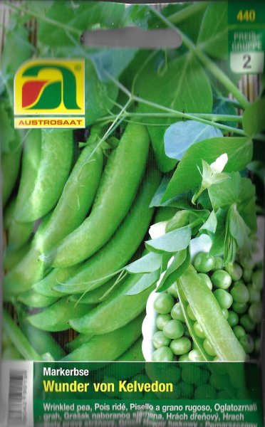 Markerbse Wunder von Kelvedon