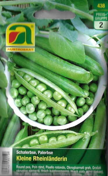 Schalerbse Kleine Rheinländerin