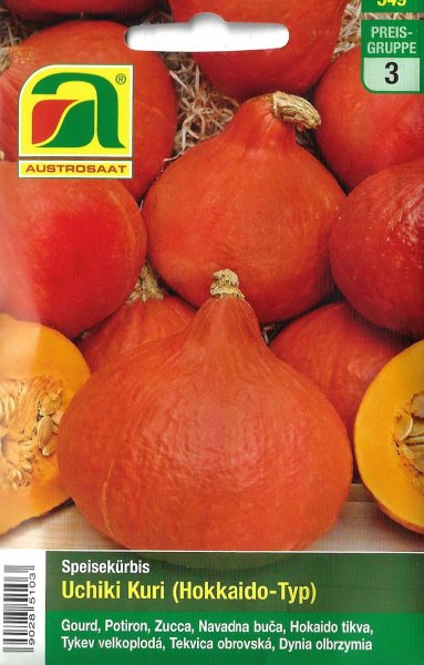 Hokkaido-Kürbis Uchiki Kuri