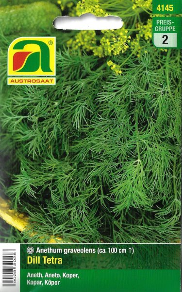 Dill Tetra (Anethum graveolens)