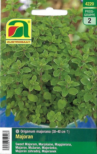 Majoran (Orignaum majorana)