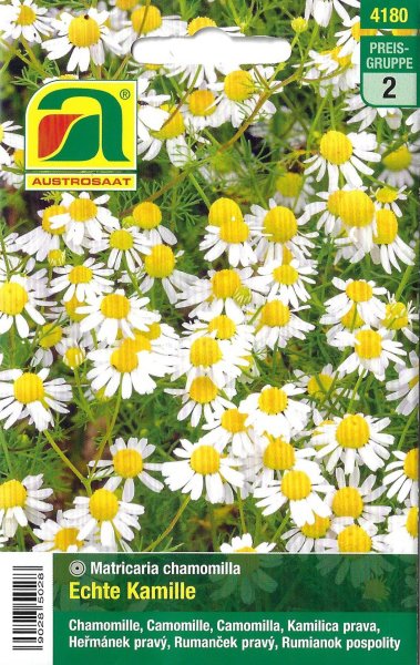 Echte Kamille (Matricaria chamomilla)