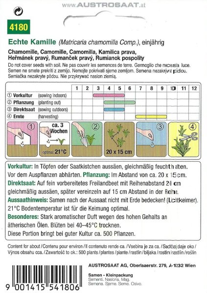Echte Kamille (Matricaria chamomilla)
