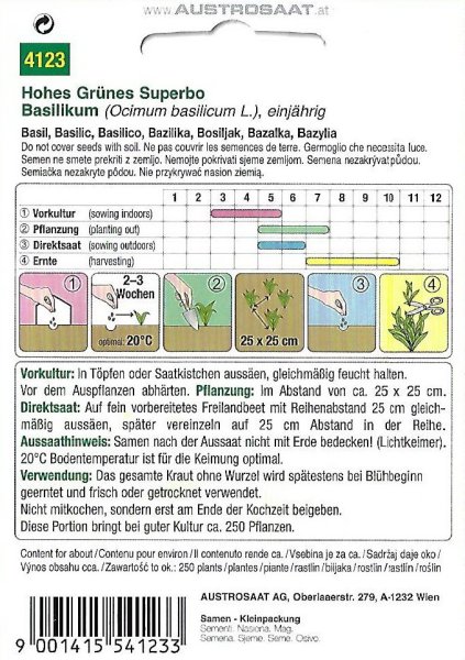 Basilikum Hohes Grünes Superbo (Ocimum basilicum)