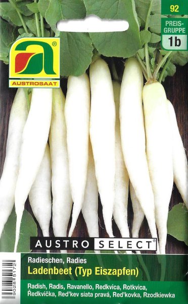 Radieschen Ladenbeet (Typ Eiszapfen)
