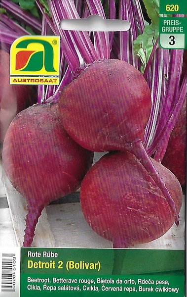 Rote Rübe Detroit 2 (Bolivar)